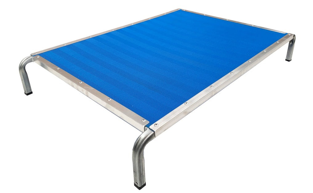 Dog trampoline outlet bed big w