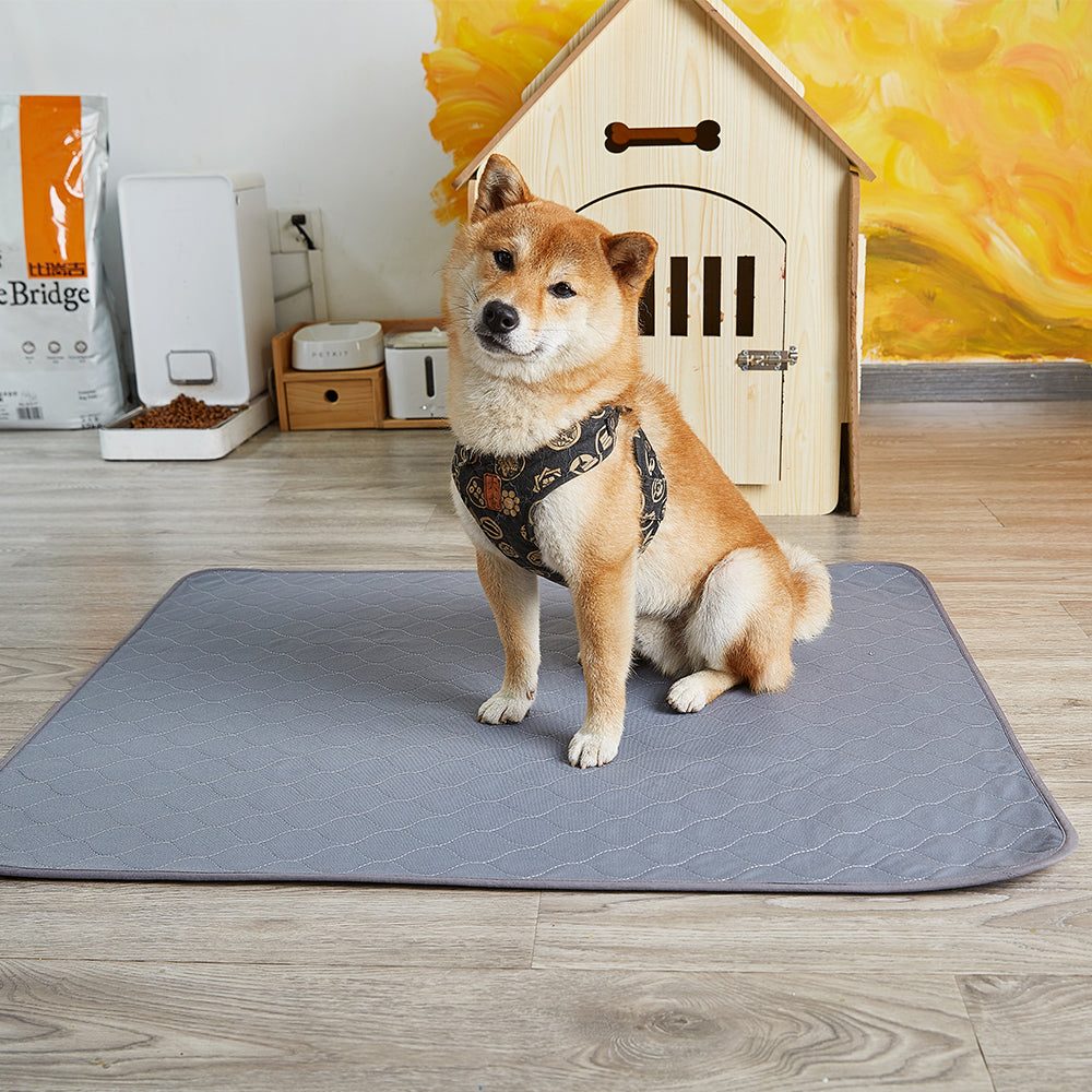 Puppy house training pads best sale