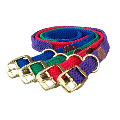 Mendota Buckle Collar 21" - Assorted Colours